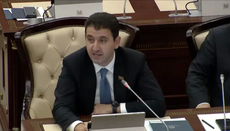 Deputatın parlamentdəki bu çıxışı nədənsə bəzi şəxslərdə qıcıq yaradıb